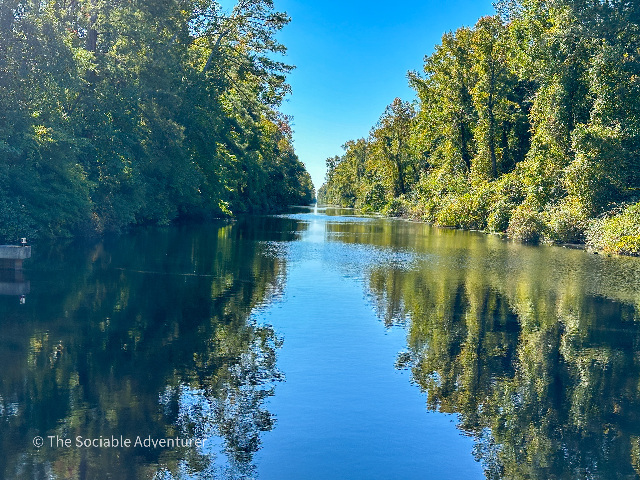 Dismal Swamp State Park - The Sociable Adventurer