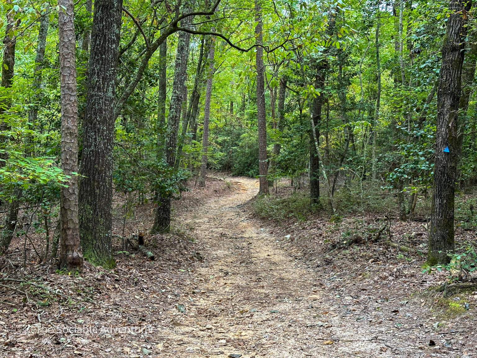 Raven Rock State Park - The Sociable Adventurer