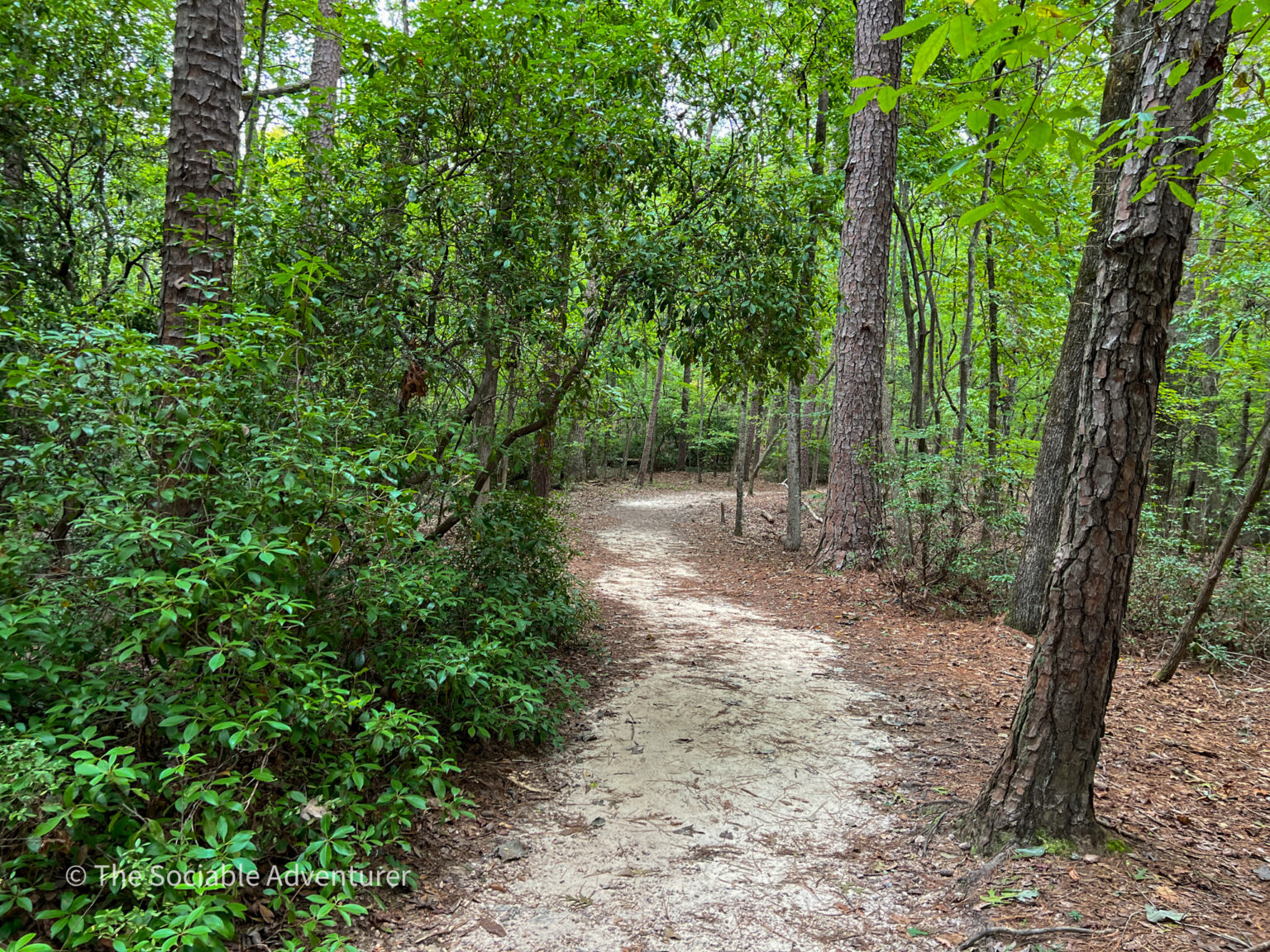 Raven Rock State Park - The Sociable Adventurer