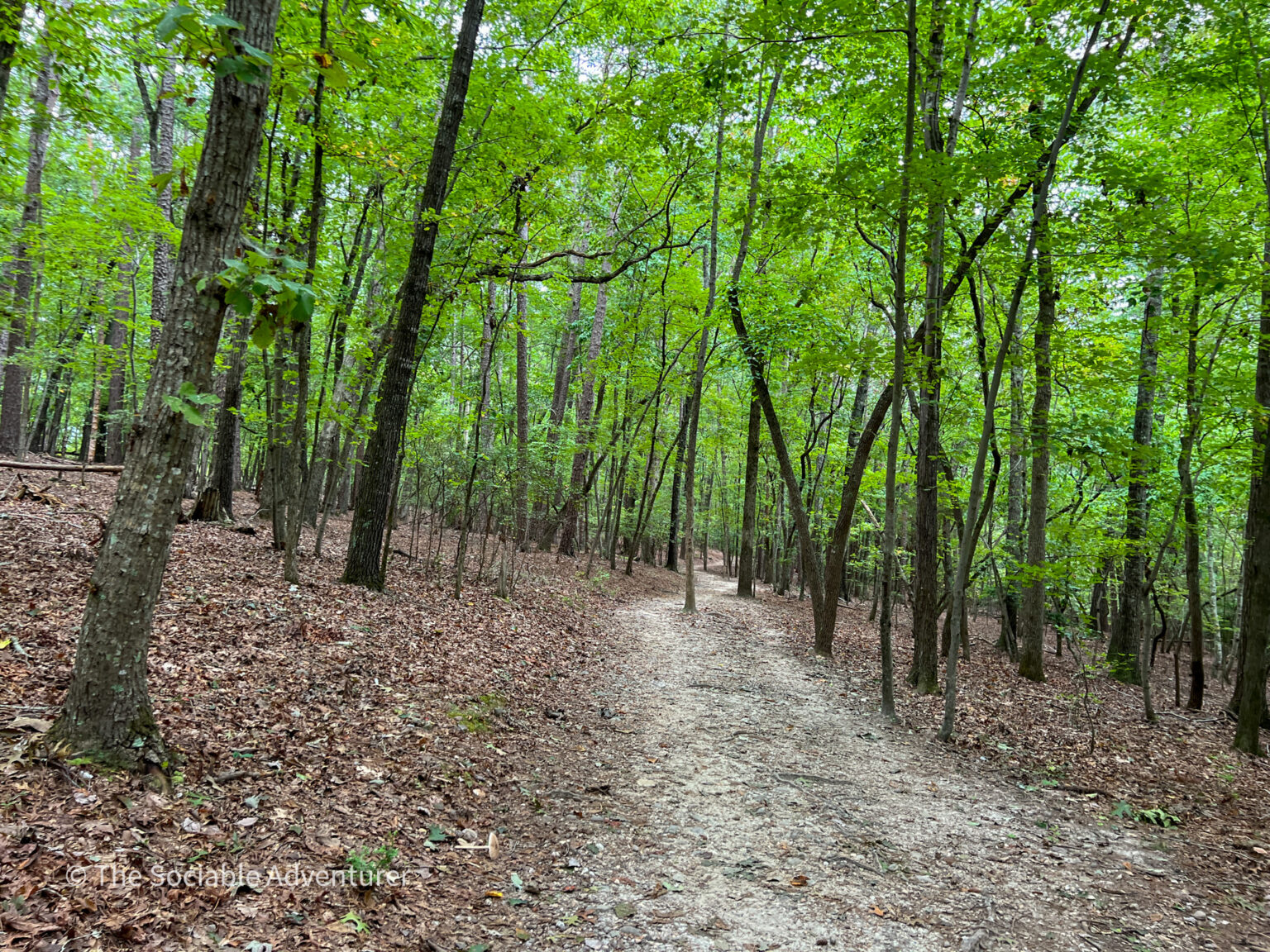 Raven Rock State Park - The Sociable Adventurer