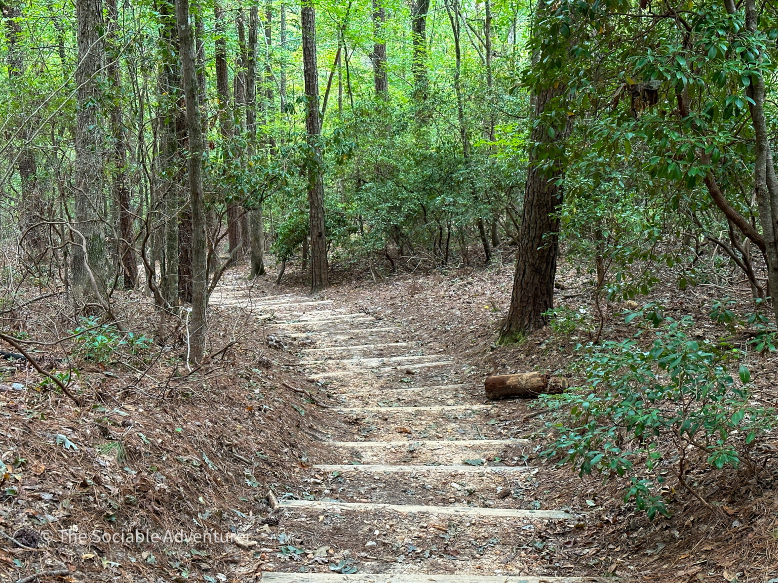 Raven Rock State Park - The Sociable Adventurer