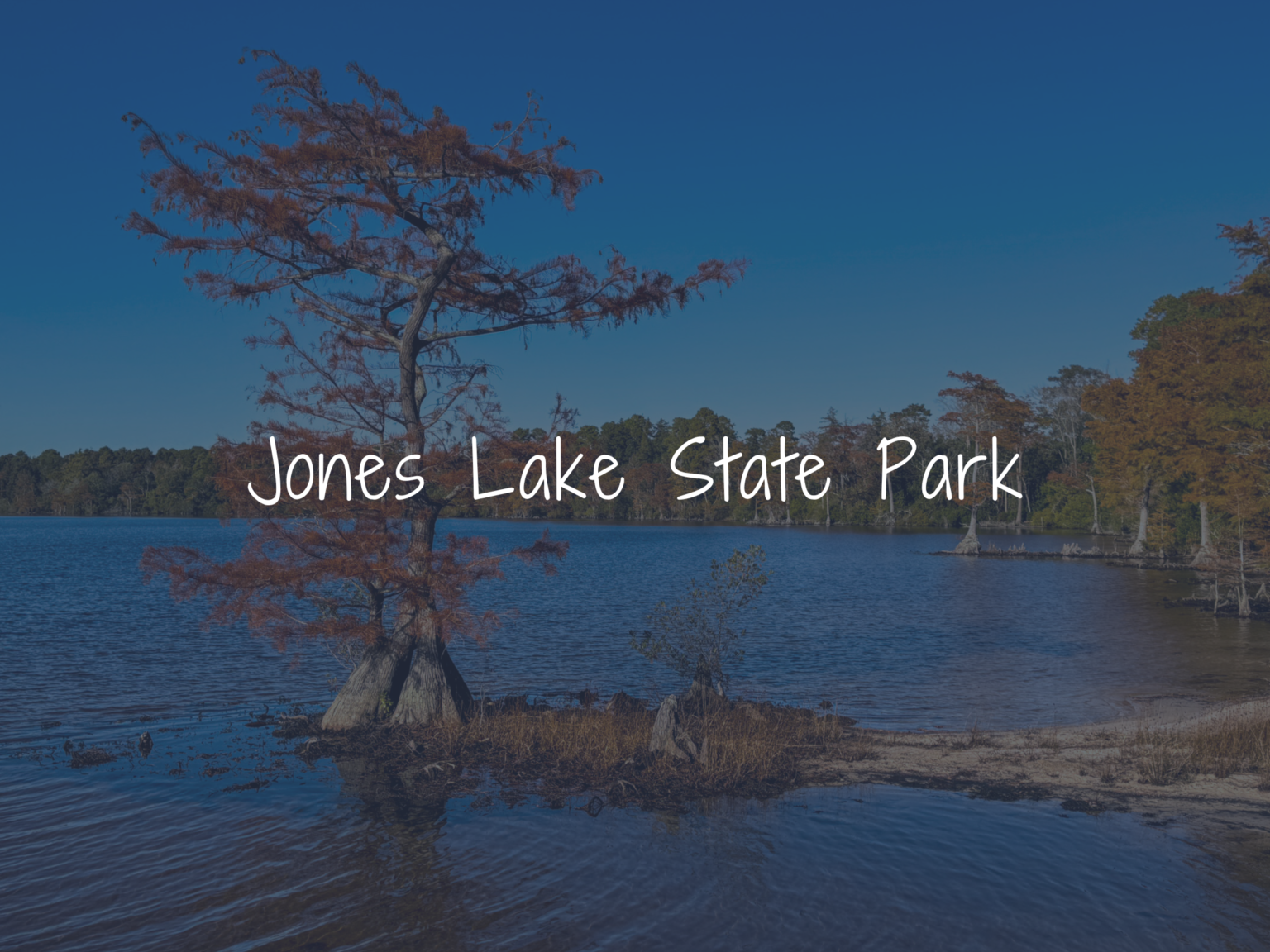 A Guide to the Best of North Carolina’s State Parks - The Sociable ...