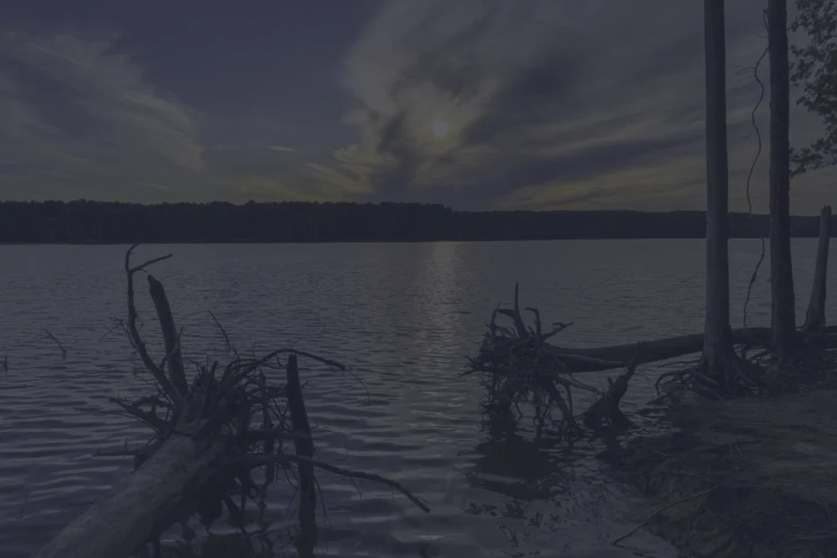 Calm lake at dusk with a distant tree line and submerged logs in the foreground under a cloudy sky.
