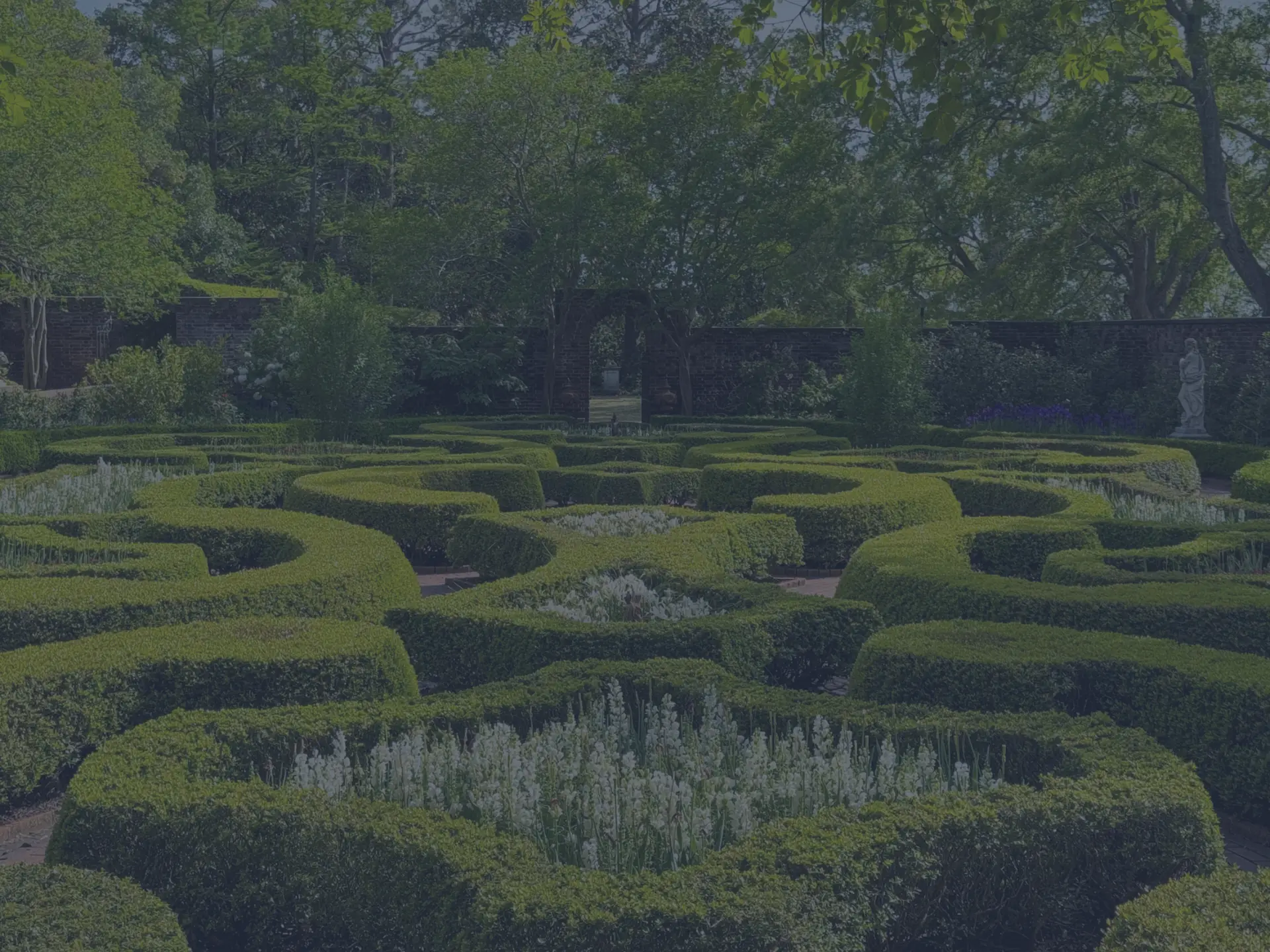 Where History Blooms: Exploring Tryon Palace’s Magnificent Gardens