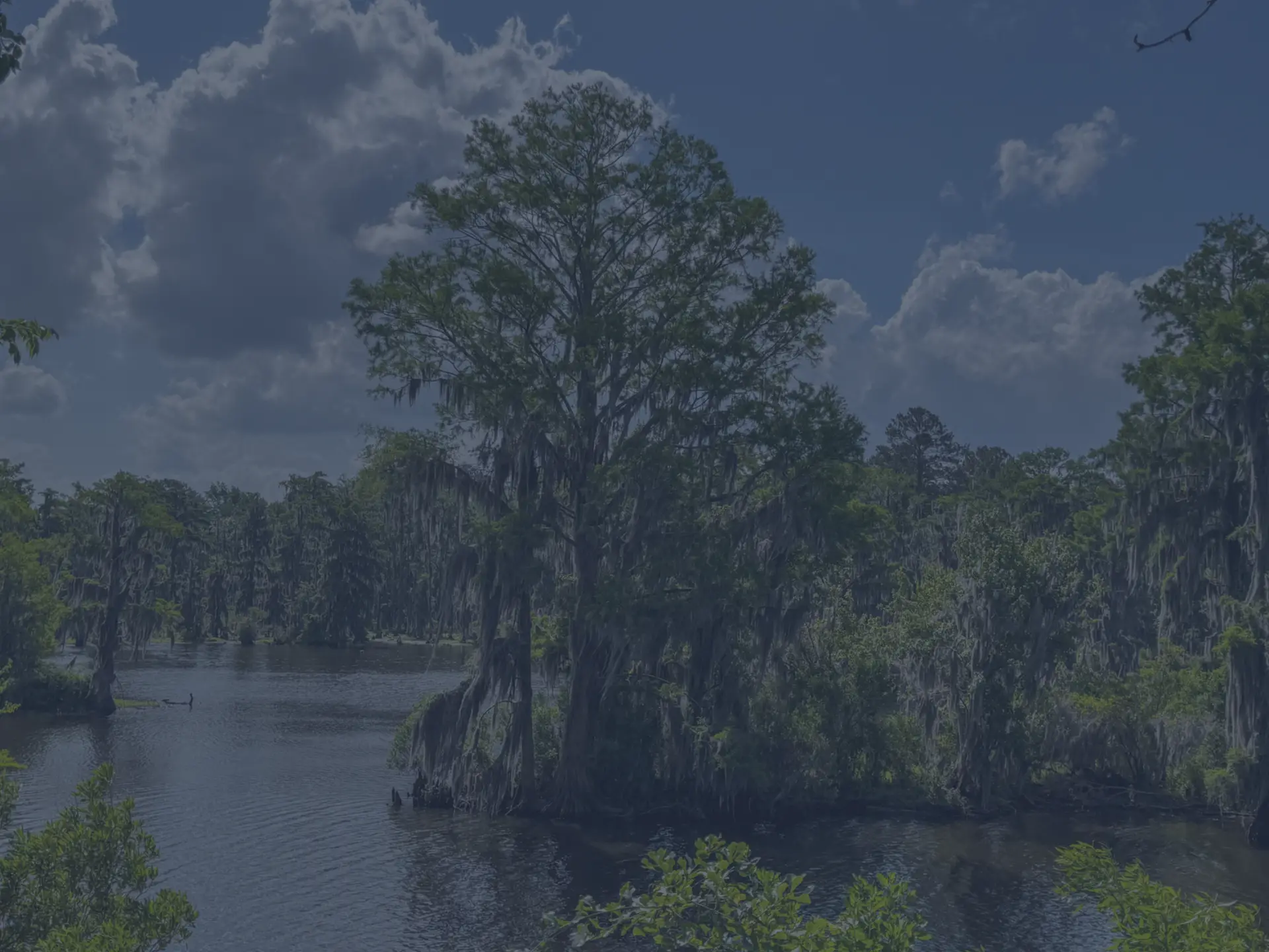 Unwind and Explore: A Hiker’s Guide to Martin Marietta Park
