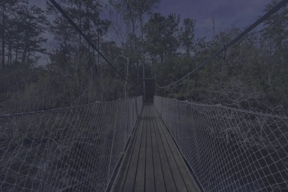 Wooden suspension bridge stretching through a dense forest, with rope railings on both sides seen from the walkway center.