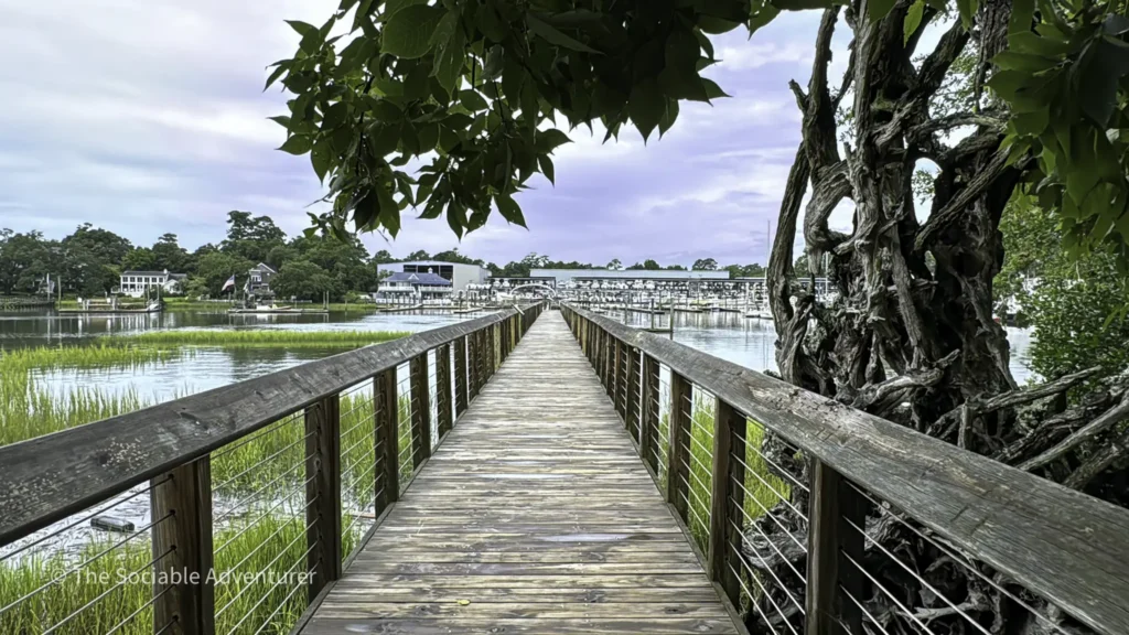 Wooden boardwalk extending toward a marina, framed by overhanging leaves and a gnarled tree on the right over calm water.