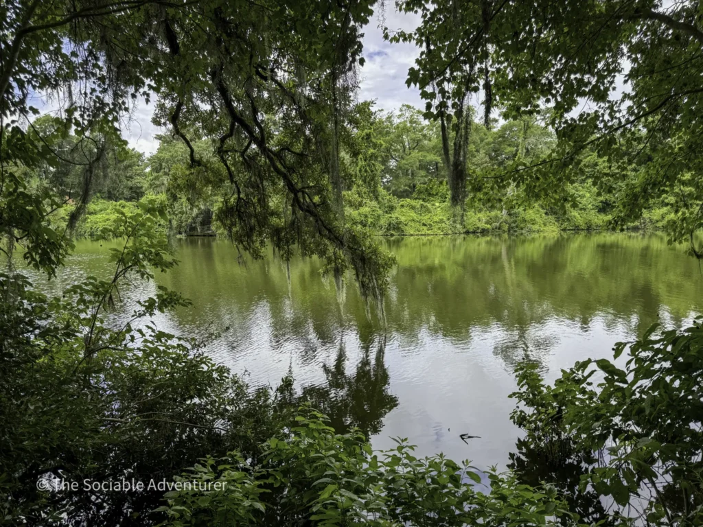 Dense green foliage frames a calm lake with reflections and hanging mossy branches overhead.
