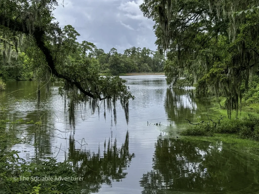 Swampy lakeside scene framed by moss-draped trees and dense green foliage.
