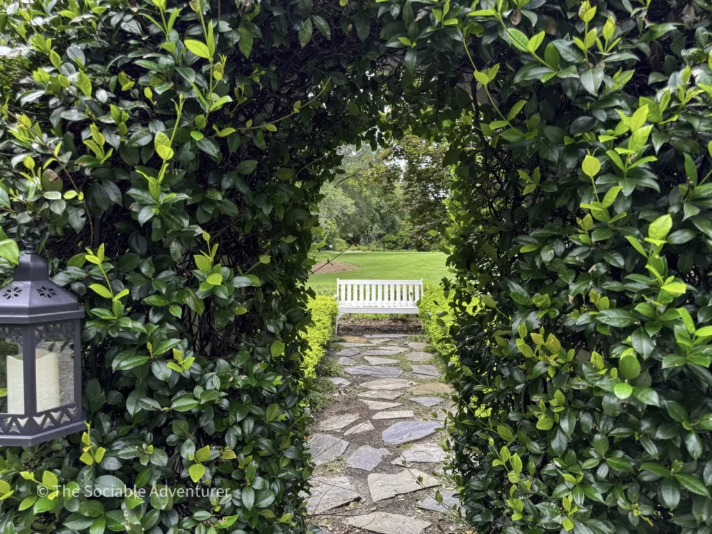 Stone garden path framed by dense green hedge, bench visible in the background.