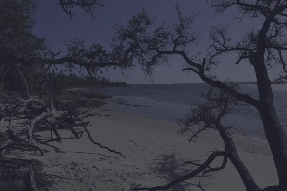 Beach scene with scattered driftwood and bare tree branches over a calm shoreline and water at the edge of the scene.