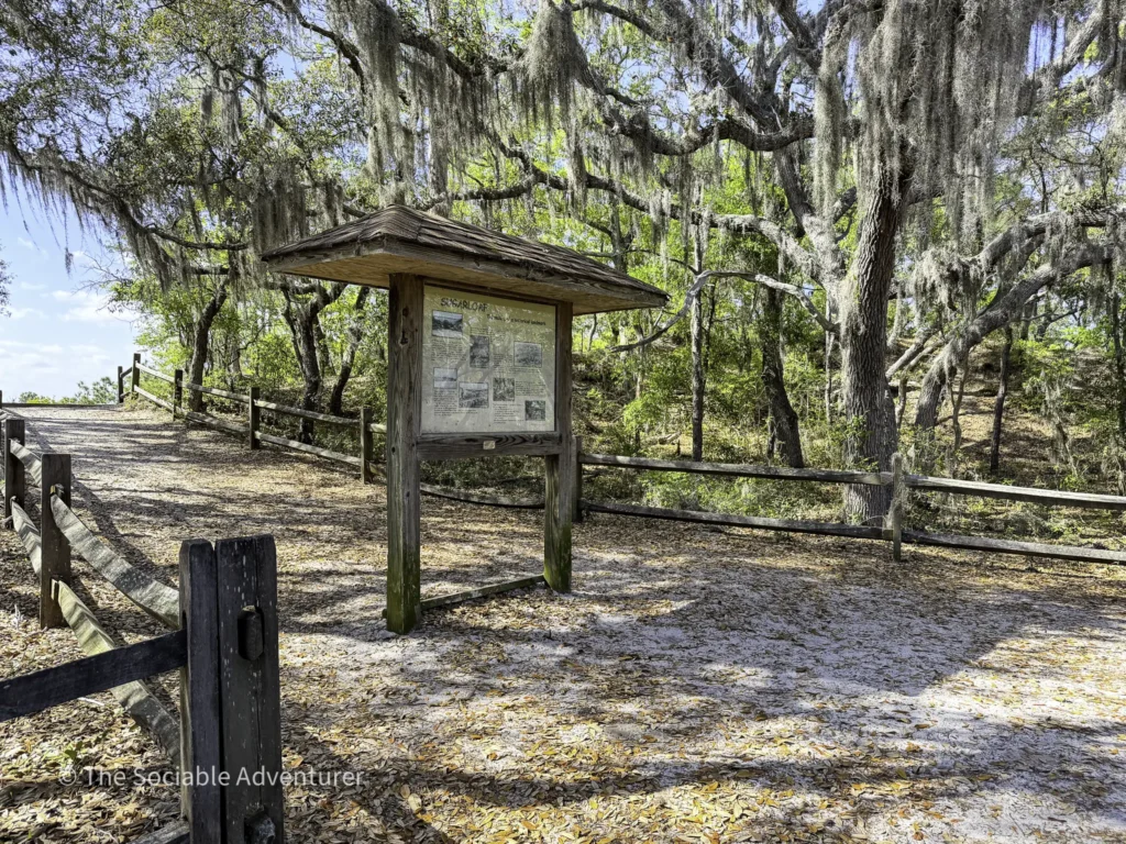 Wooden information kiosk beside a leaf-strewn path under moss-draped oak trees in a sunny park.