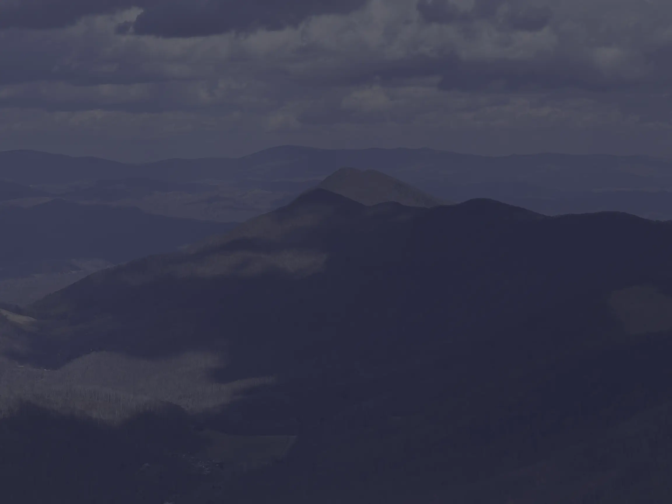 Your Complete Guide to Hiking Trails at Elk Knob State Park